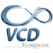 VCD-logo